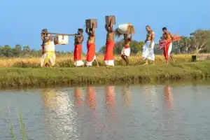 யாழ்.நல்லூர் கந்தசுவாமி ஆலயத்தில் நெற்புதிதெடுத்தல் (அறுவடை) நிகழ்வு இன்று(10) முற்பகல் இடம்பெற்றது.