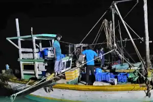 கிளிநொச்சியில் இழுவைமடித் தொழிலில் ஈடுபட்ட மன்னார் மீனவர்கள் 7 பேர் கைது