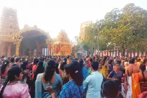 யாழ்.நல்லூர் அலங்காரக் கந்தனின் தைப்பூச திருமஞ்ச உற்சவம் இன்று மாலை பக்திபூர்வமாக இடம்பெற்றது